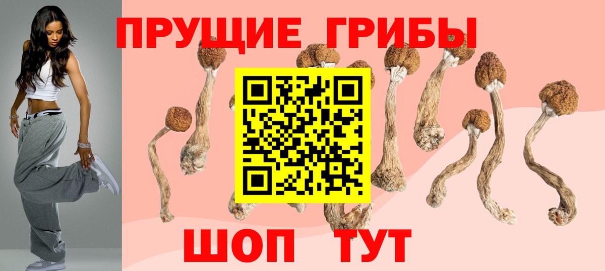 Псилоцибиновые грибы мухоморы  Вход с VPN  Кемерово 